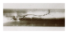 Afbeelding: spanningscorrosie in een roestvast stalenbuis.