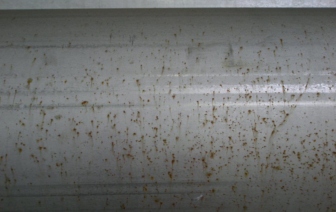 Afbeelding 1: besmettingscorrosie op een roestvast staalbuis 316L