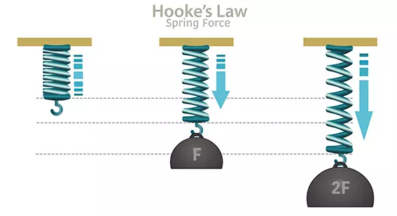 De wet van Hooke toegepast op een veer